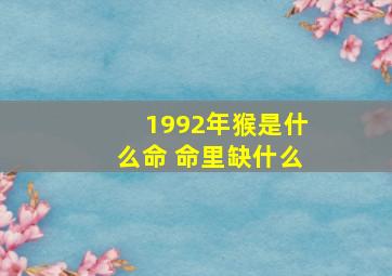 1992年猴是什么命 命里缺什么